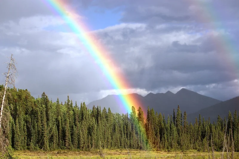 Felpa Arcobaleno